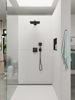 Mynd af Hansgrohe Raindance Select S handsturta Matt svart