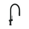 Mynd af Hansgrohe Talis M54 Eldhústæki útdraganlegt Matt svart