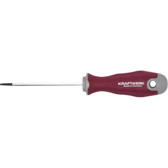 Mynd af Skrúfjárn Torx Pro Line T 7