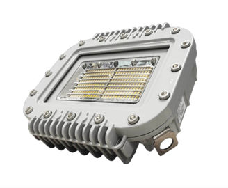 Mynd af Vigilant Area Light 30W 3800lm