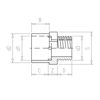 Mynd af PVC Múffu Nippil Nippiltengi 20 x 28 x 1/2