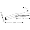 Mynd af Hansgrohe Raindance Select S handsturta Ø120mm Svart burstað króm