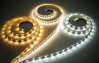Mynd af Plejd LED strippa 6m, TW 960lm/m IP66 CRI90
