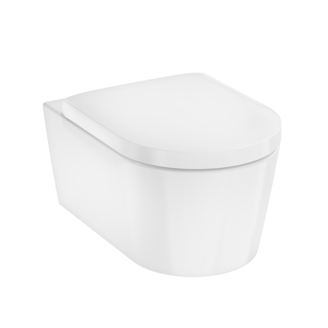 Mynd af Hansgrohe vegghengt salerni 54cm m/setu