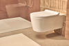 Mynd af Hansgrohe vegghengt salerni 54cm m/setu