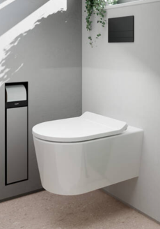 Mynd af Hansgrohe vegghengt salerni 54cm m/setu